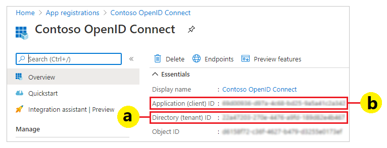 authority-client-id-azure.png
